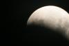 img_8408_t1.jpg